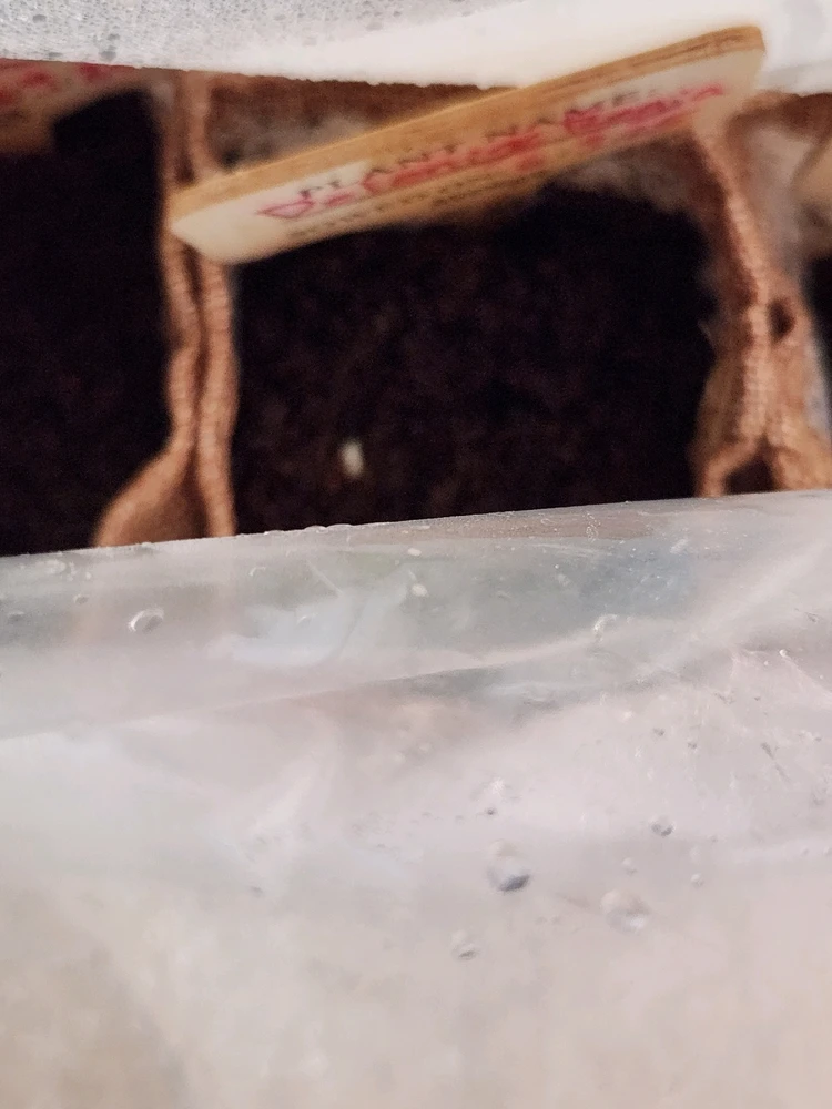 Gambar diunggah dening Cj