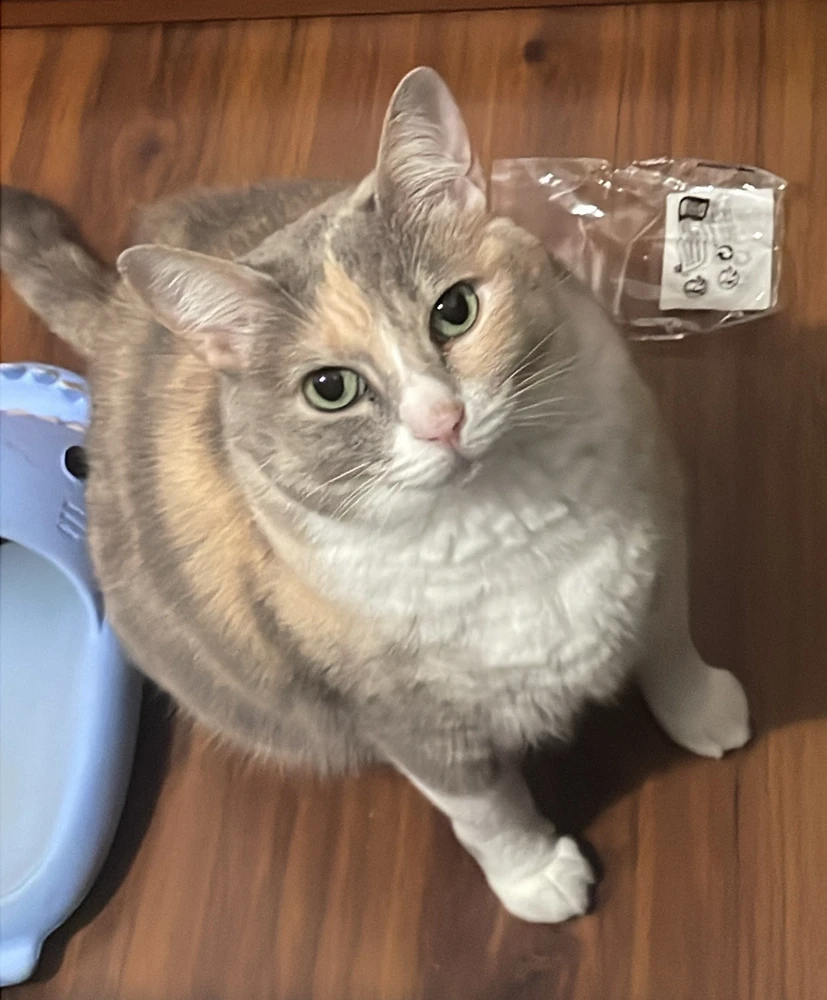 GIF subido por Julietta