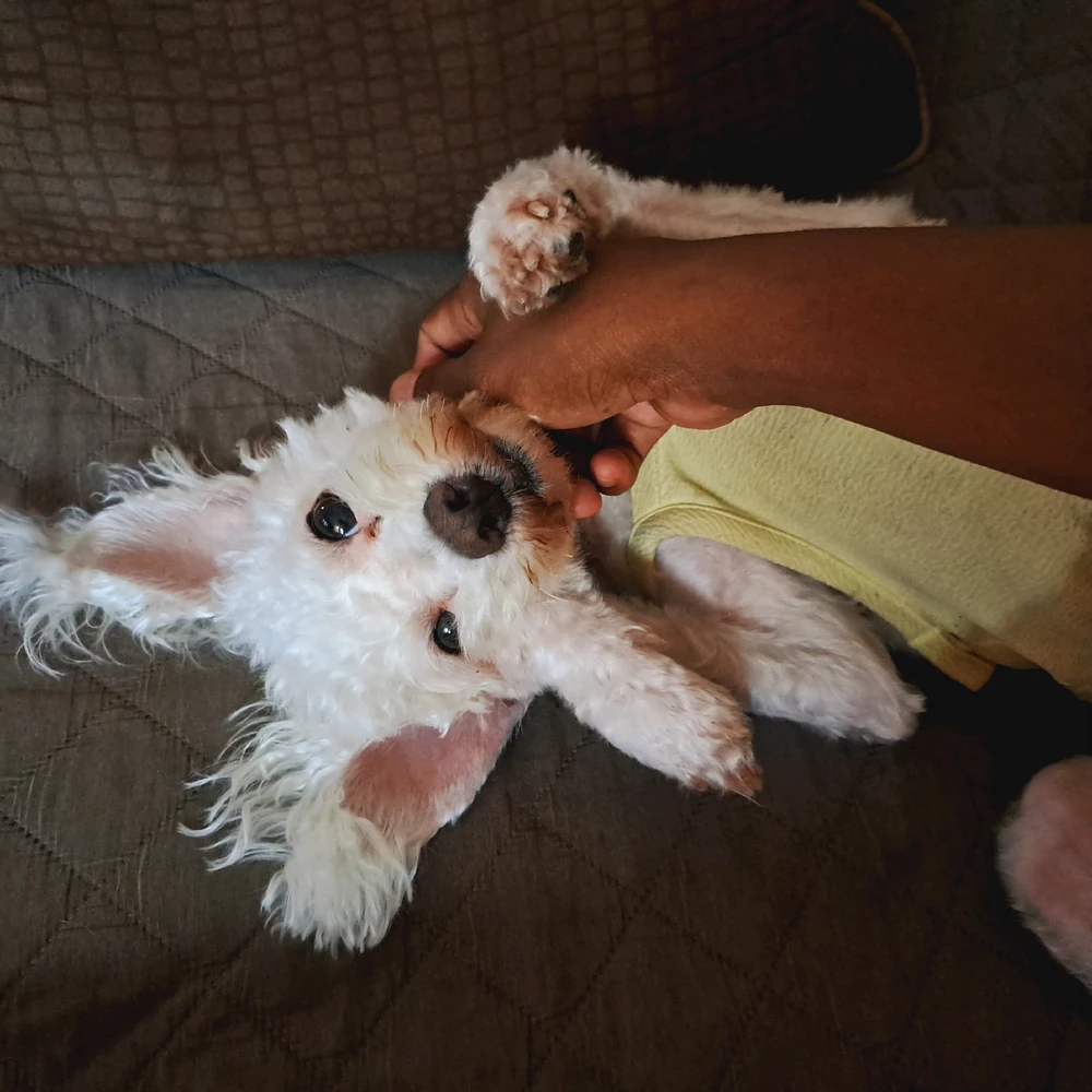 GIF загружаны Andreina♡