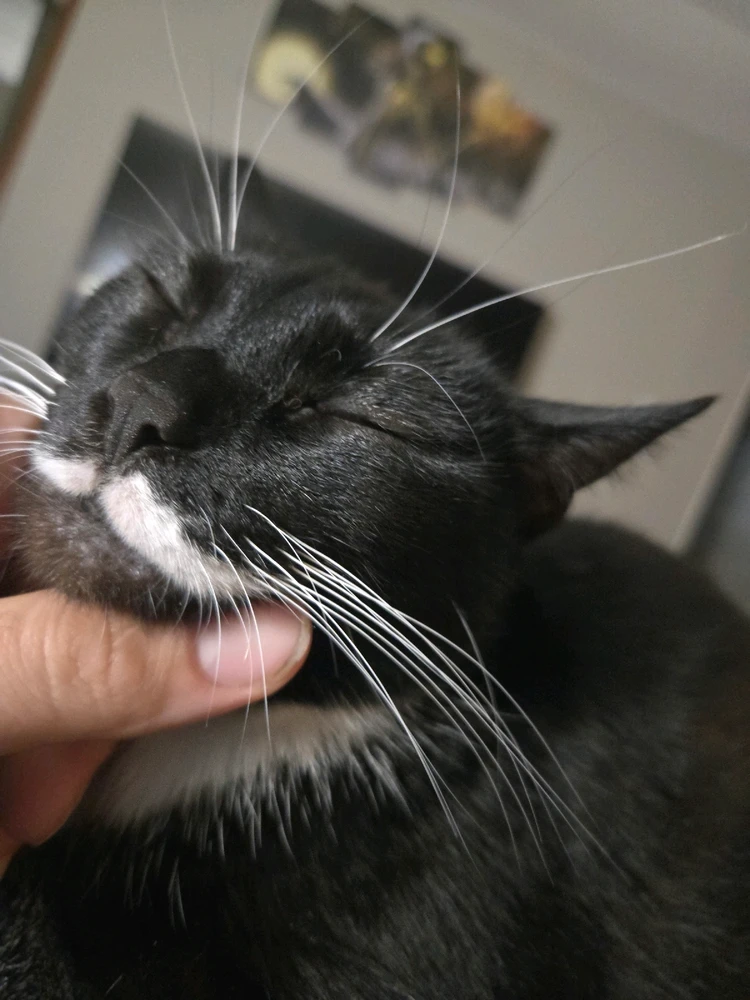 Image uploaded by Jonathon