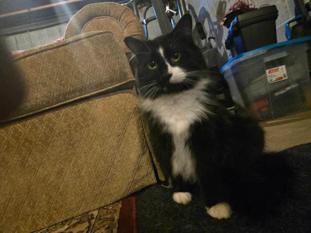 Image uploaded by Jonathon