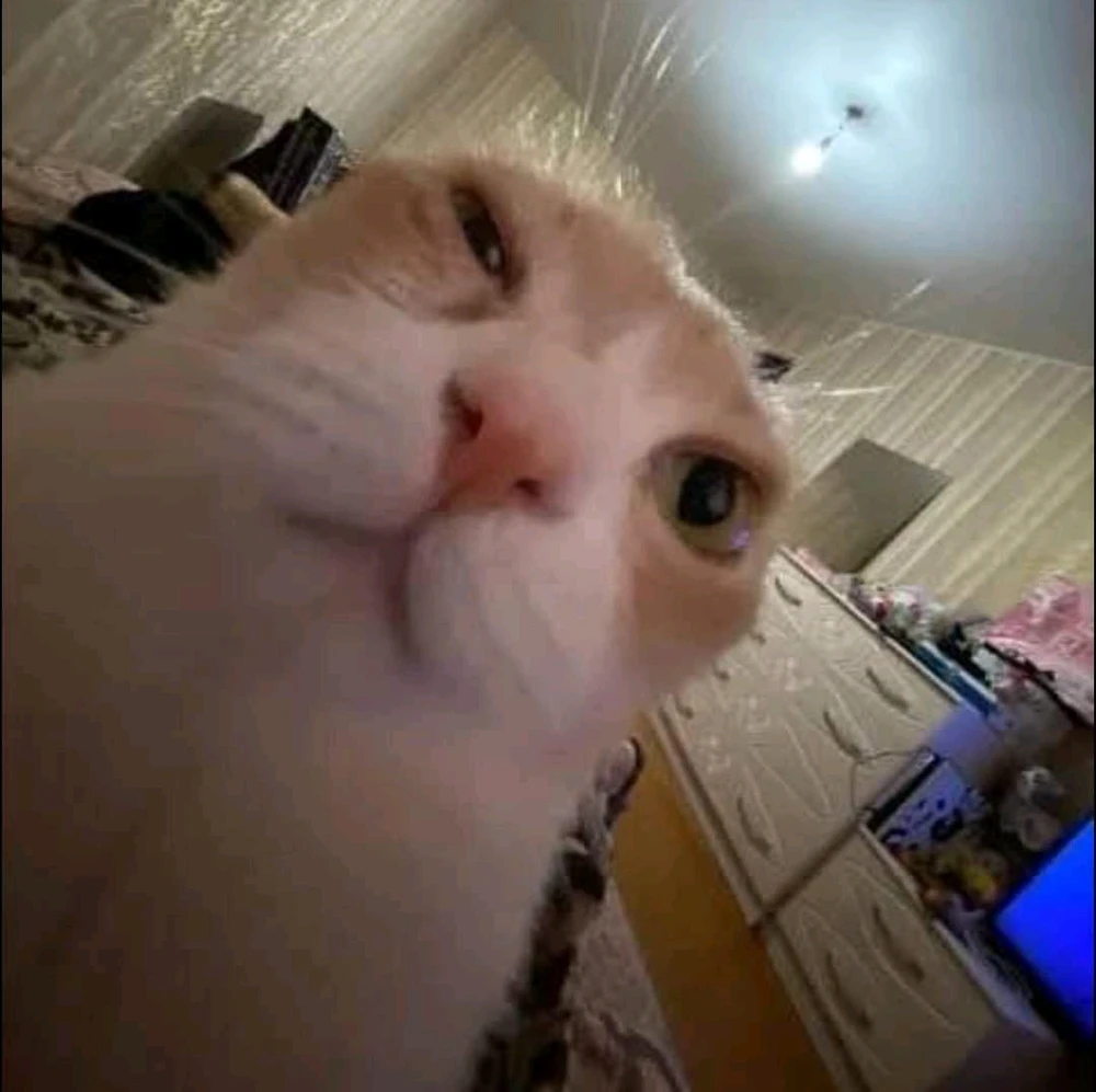 Gambar diunggah dening Alexandra