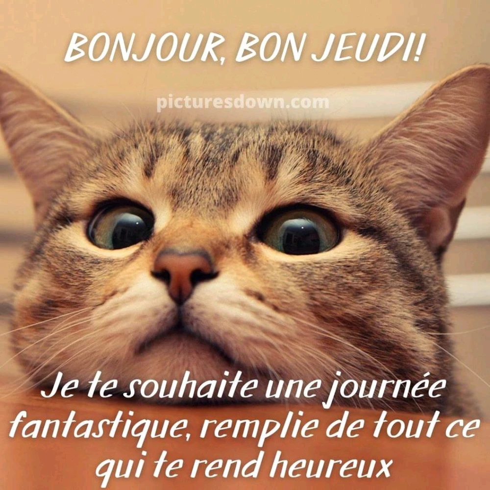 GIF ajouté par Ꭻລԁ𝙚