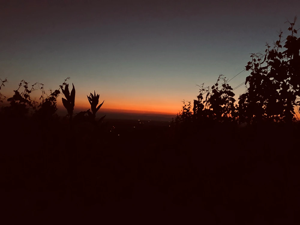 GIF hochgeladen von Tom