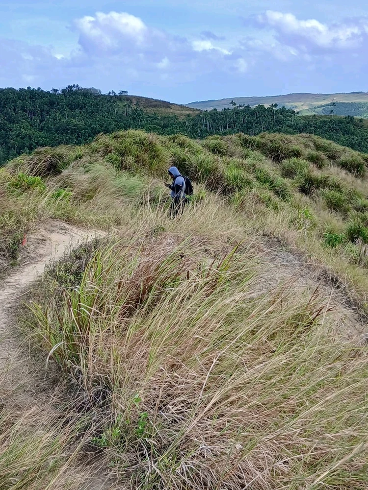 Image uploaded by Nathaniel