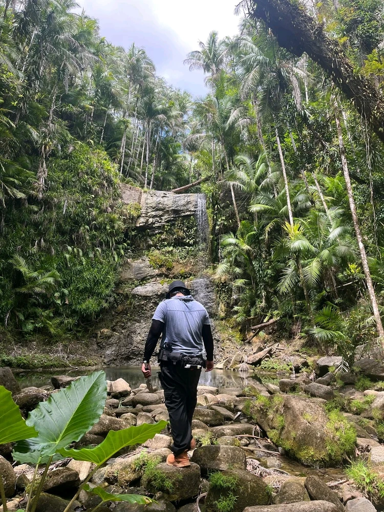 Image uploaded by Nathaniel