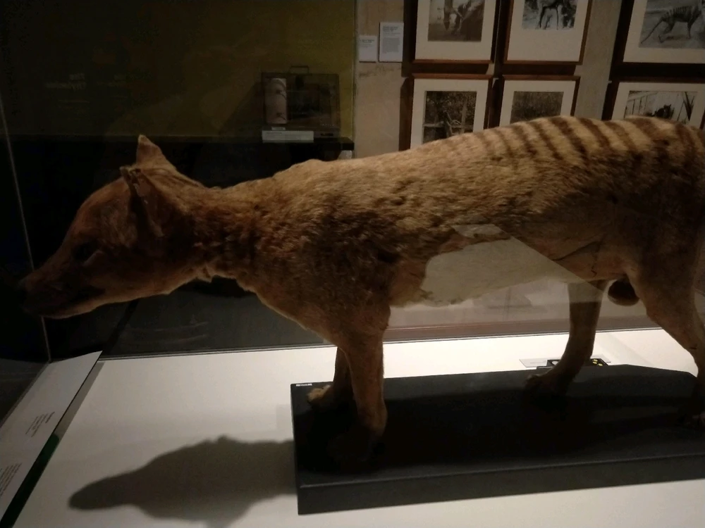 Image uploaded by Josh