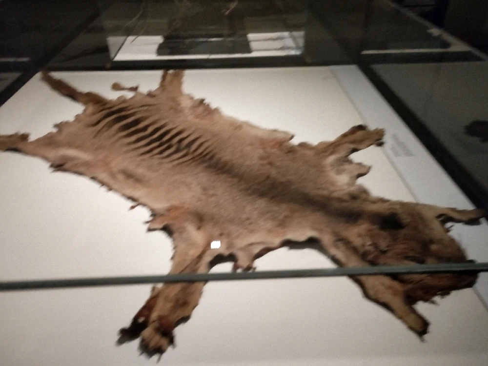 Image uploaded by Josh