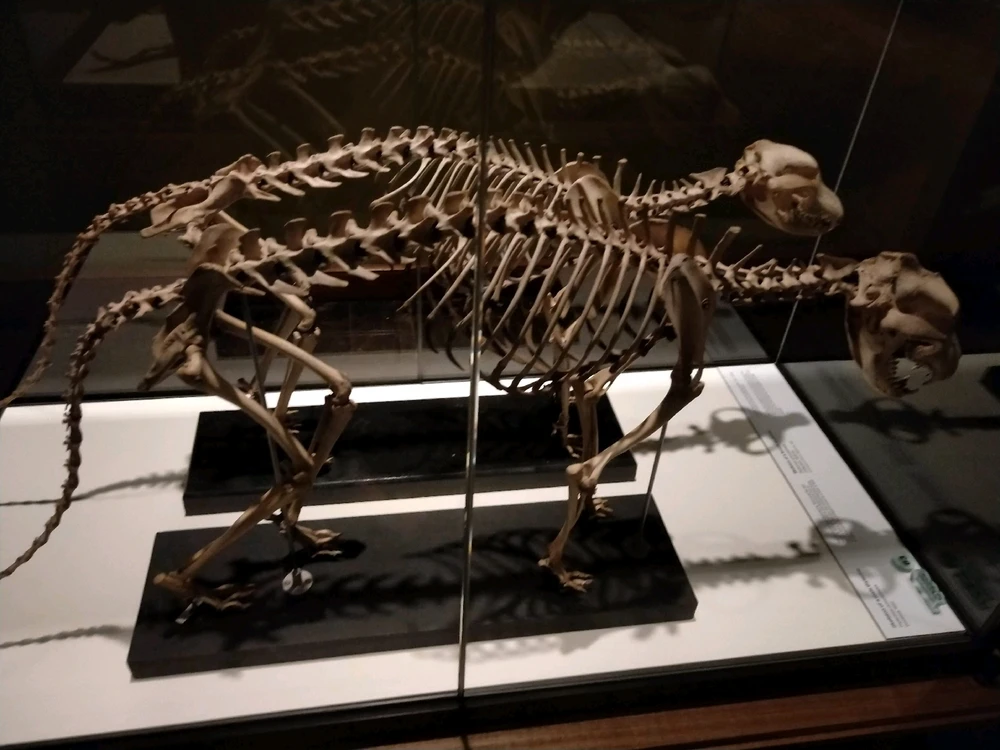 Image uploaded by Josh