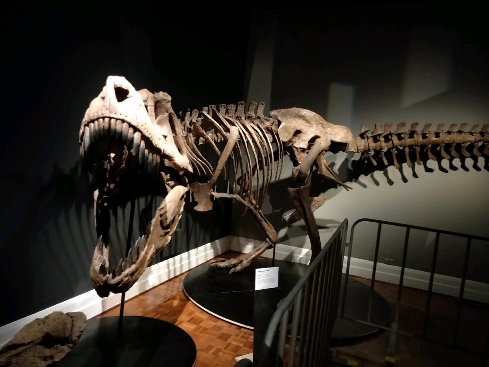 Image uploaded by Josh