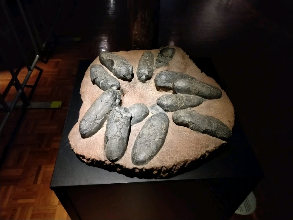 Image uploaded by Josh