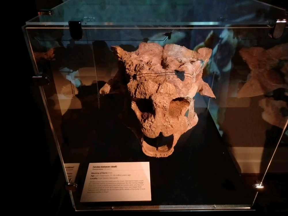 Image uploaded by Josh