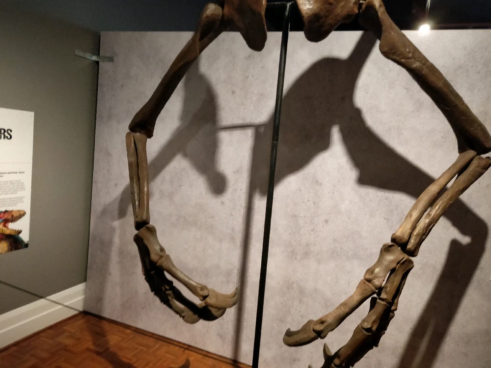 Image uploaded by Josh