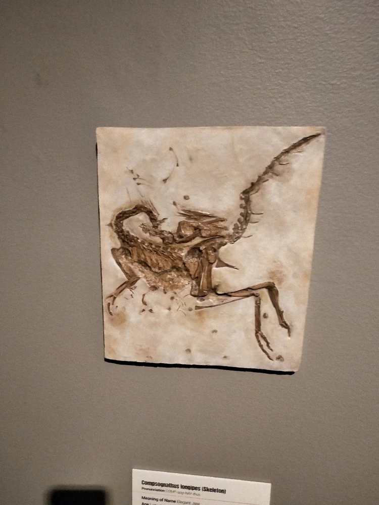 Image uploaded by Josh