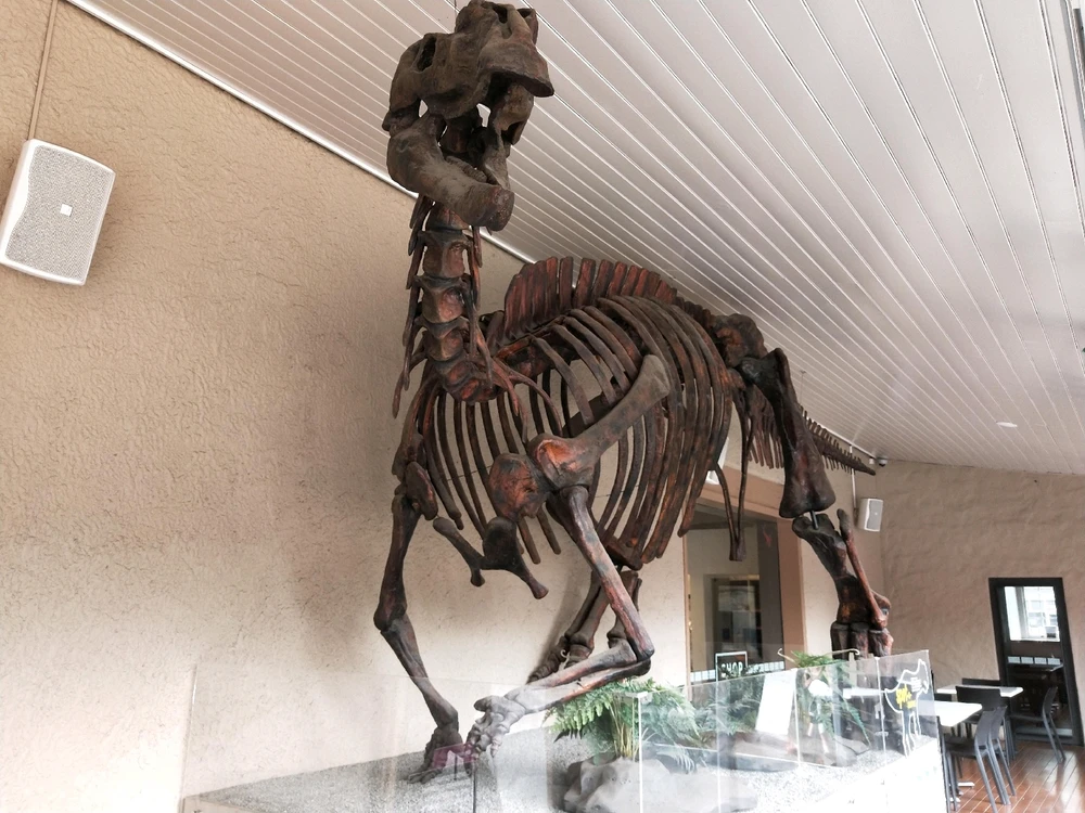 Image uploaded by Josh