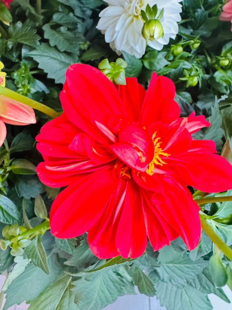 GIF uploaded by Hemail