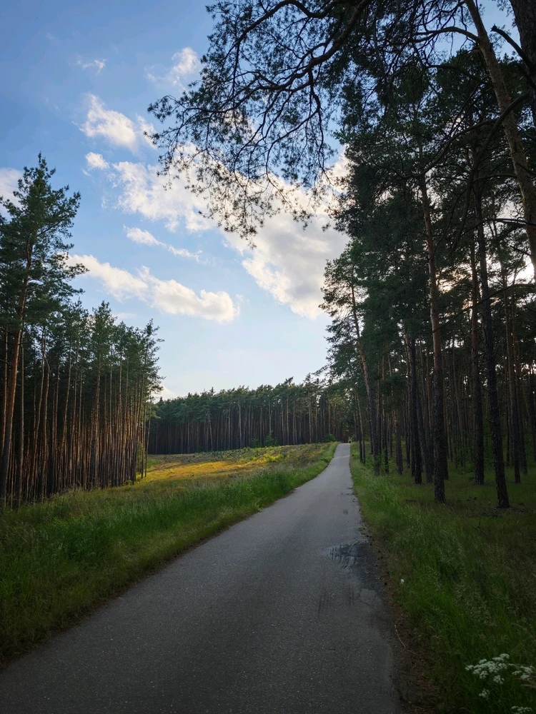 Obrázek nahrál Radek