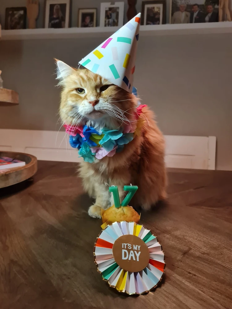 Afbeelding geüpload door Davy