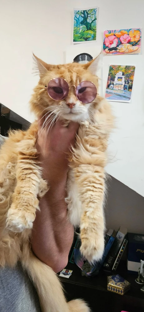 Afbeelding geüpload door Davy