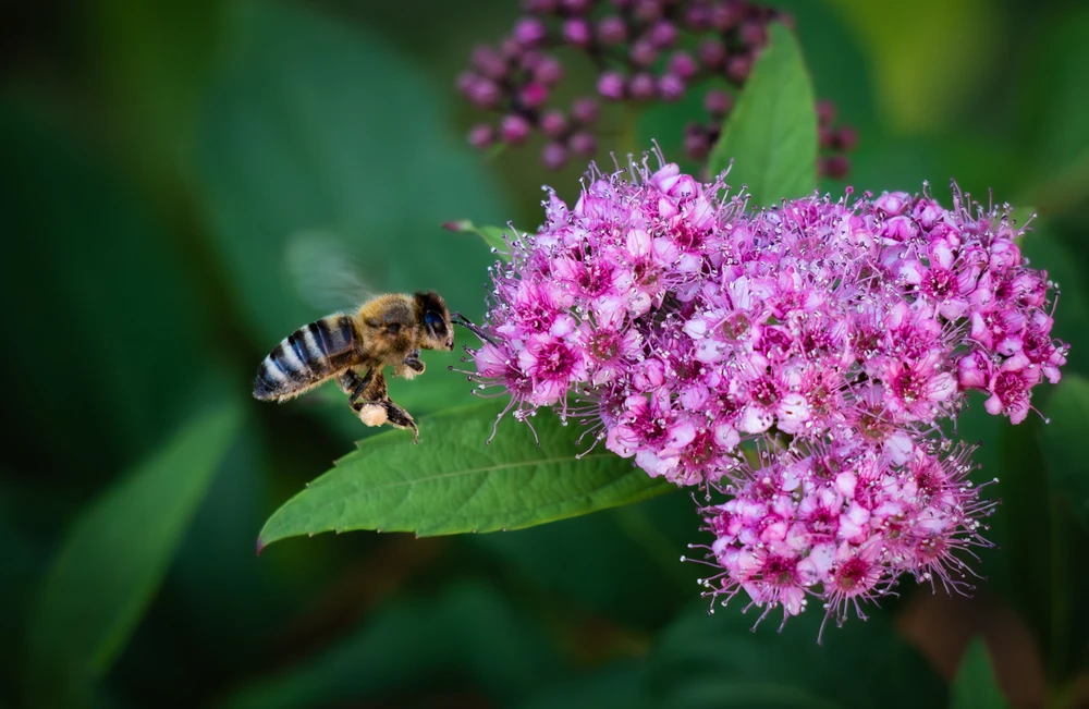 GIF caricata da Davide