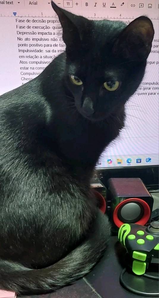 GIF enviado por Bruna