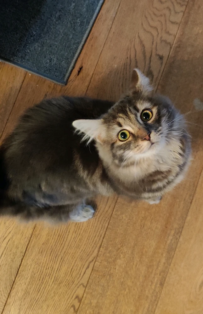 GIF uploaded by Andy