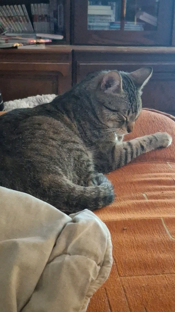 GIF dodany przez Norbert