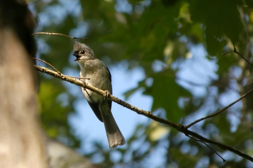 GIF uploaded by Kyle