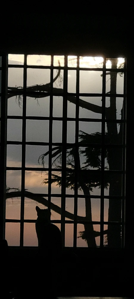 GIF uploaded by Savannah