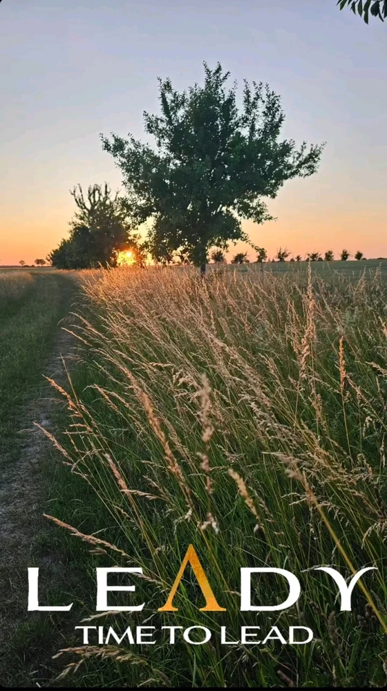 GIF hochgeladen von Markus