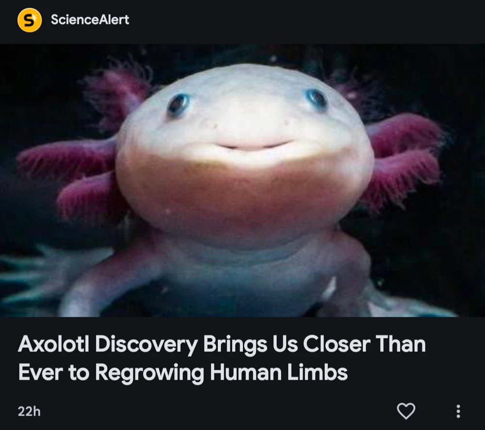 GIF diunggah dening Alfredo