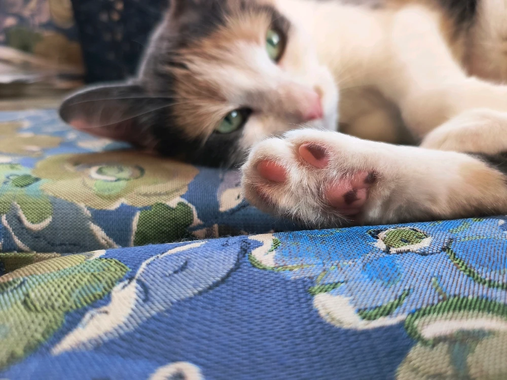 GIF uploaded by Desiree