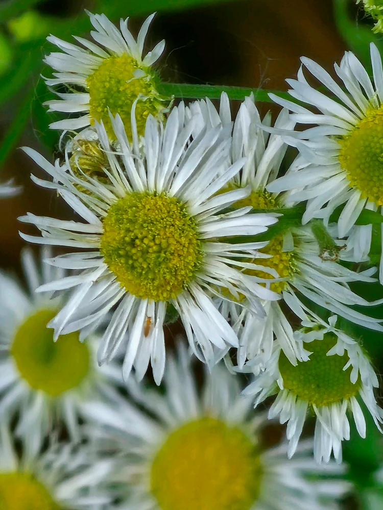 Image uploaded by Lovely