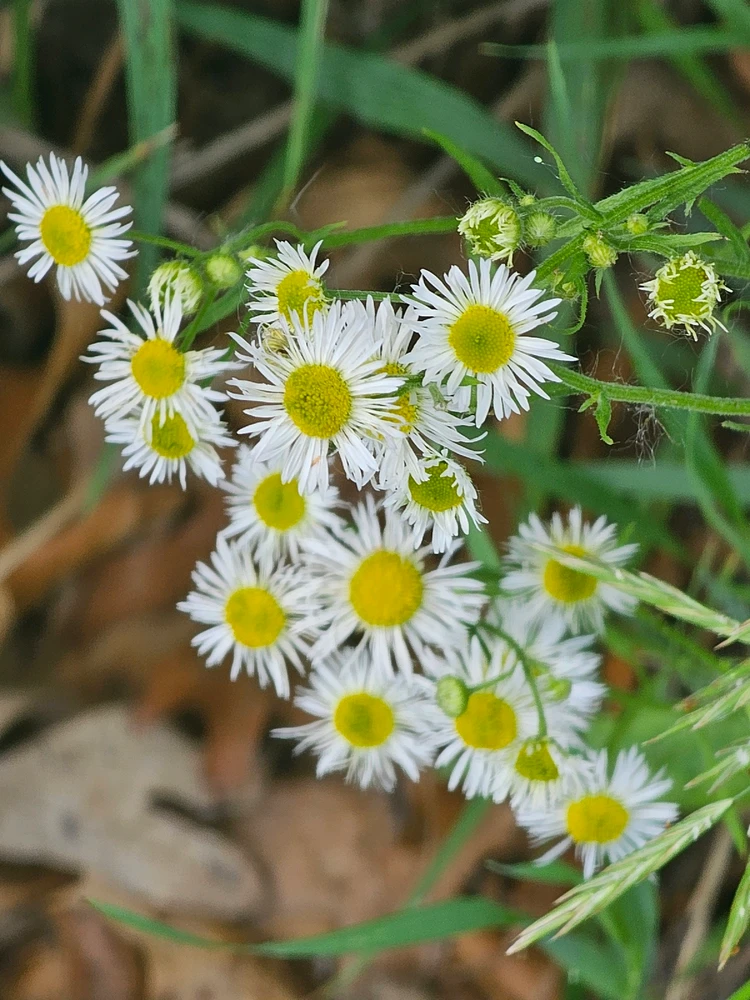 Image uploaded by Lovely