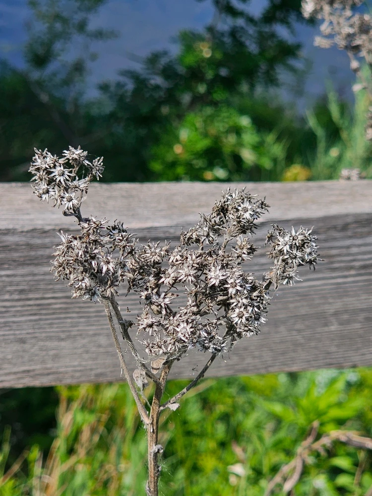 Image uploaded by Lovely