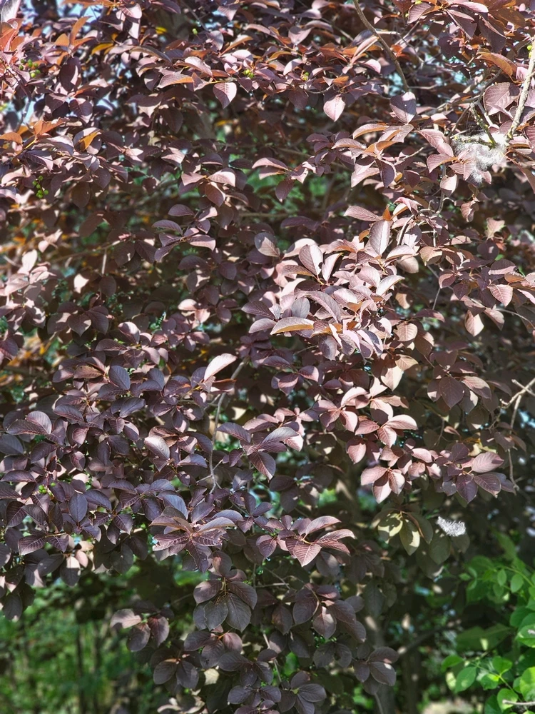 Image uploaded by Lovely