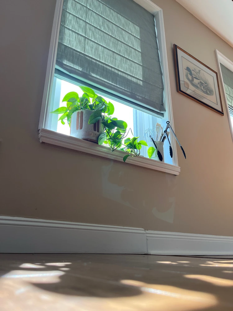 GIF uploaded by Asger