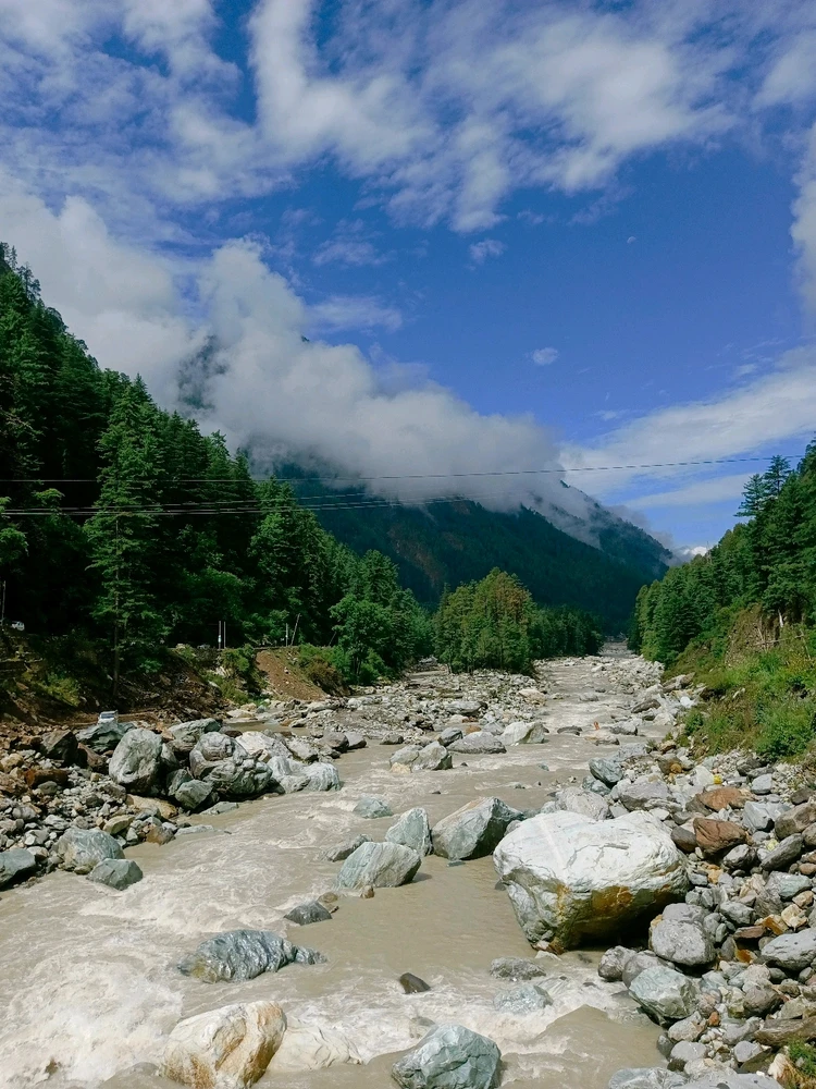 GIF uploaded by Mrinal Mukherjee