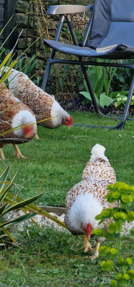 Image uploaded by Adam