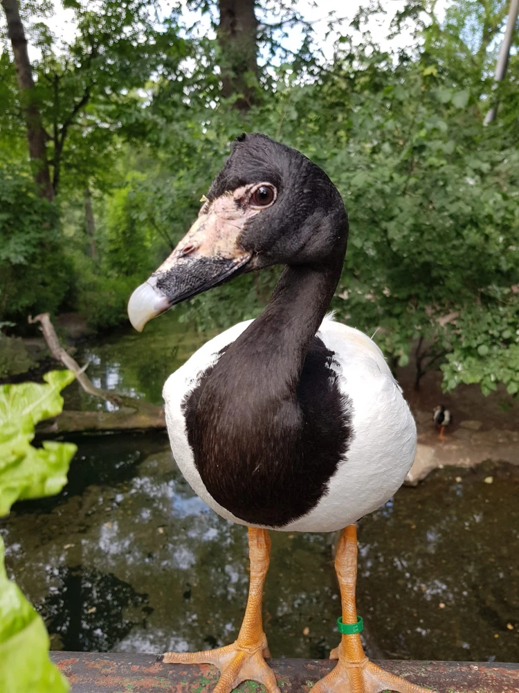 Bild hochgeladen von Nicolas