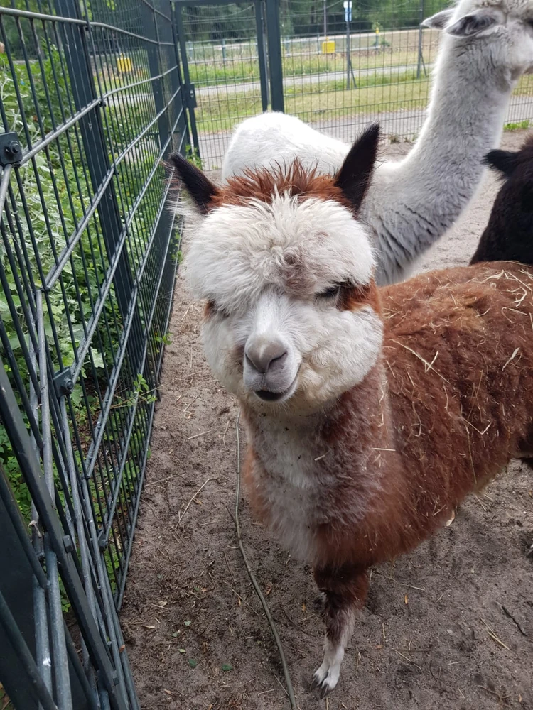 Bild hochgeladen von Nicolas