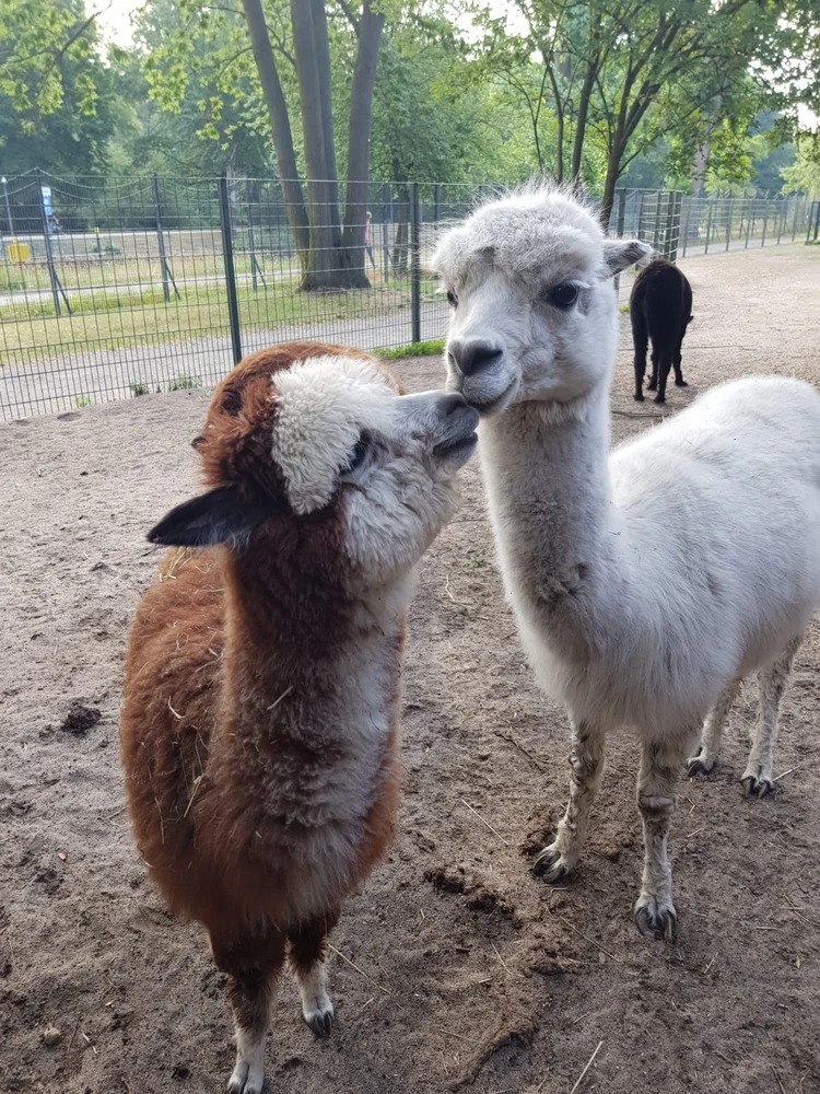 Bild hochgeladen von Nicolas