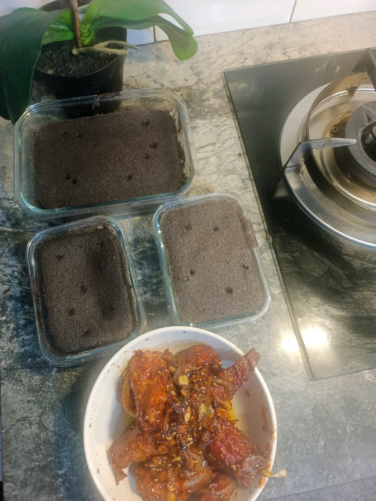 Gambar diunggah oleh Larra