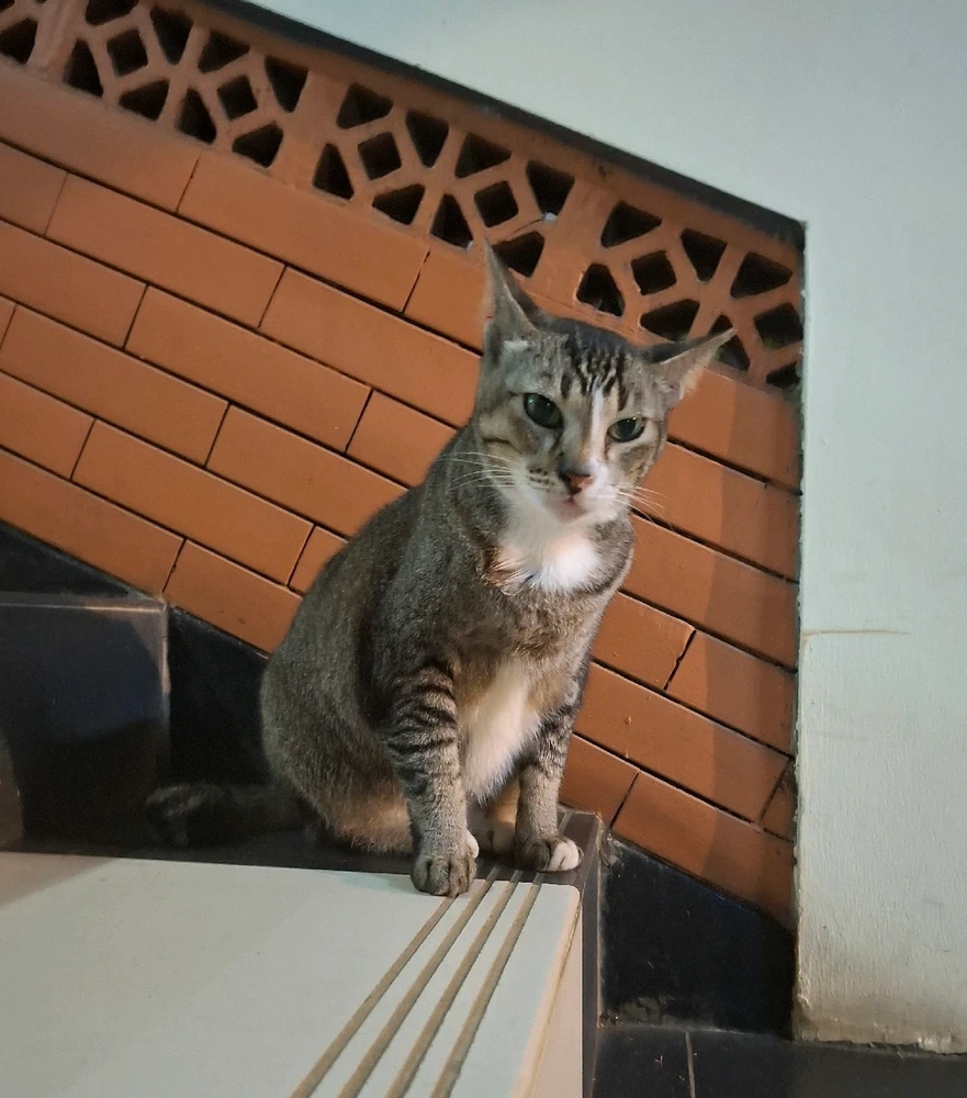 GIF diunggah oleh Evan