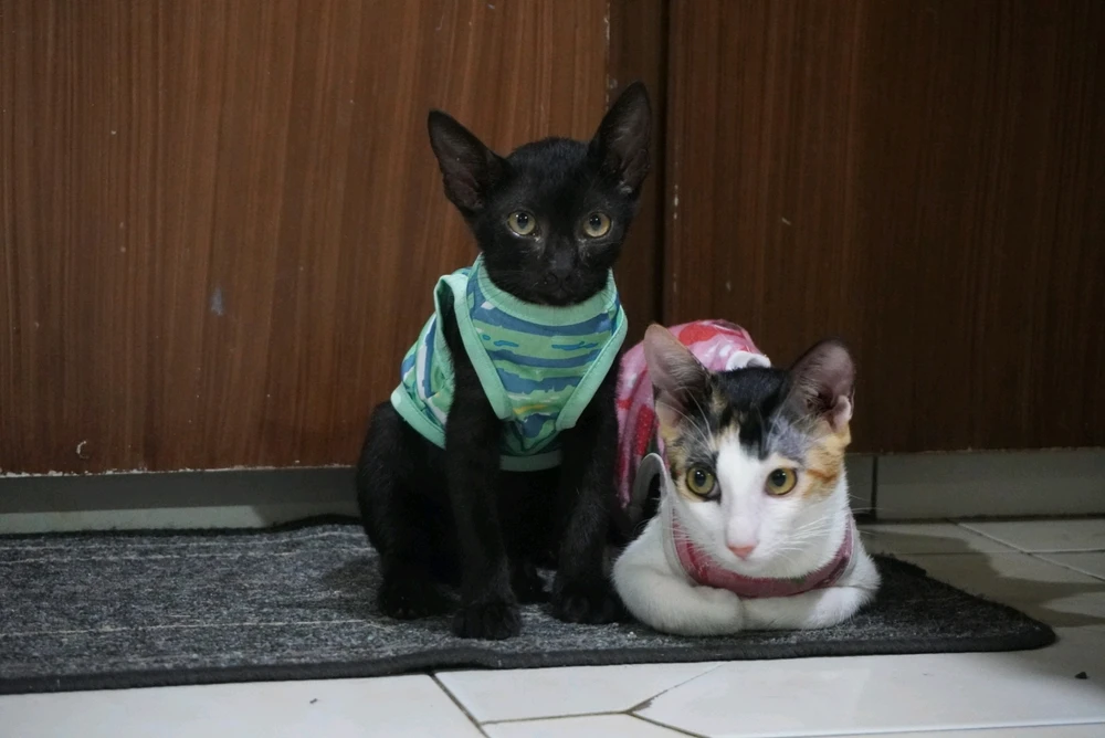 Image uploaded by Juuunneeeyy