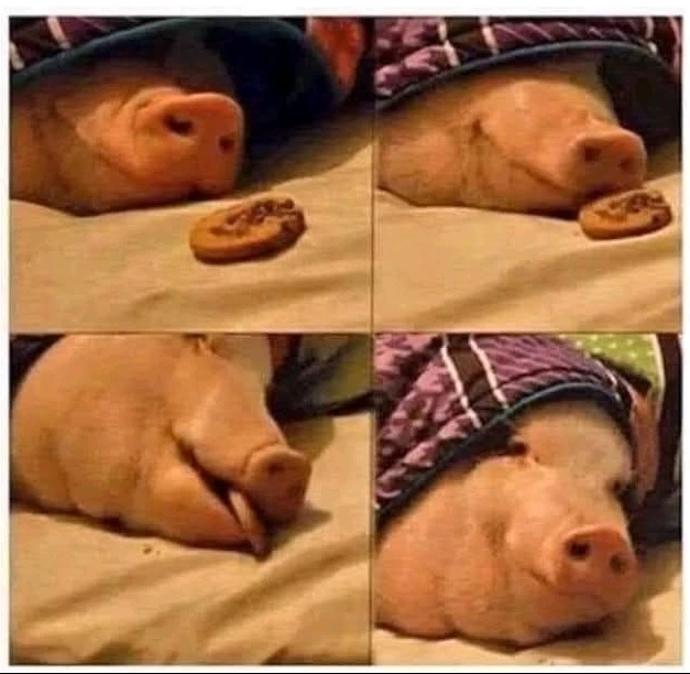 GIF hochgeladen von Doris