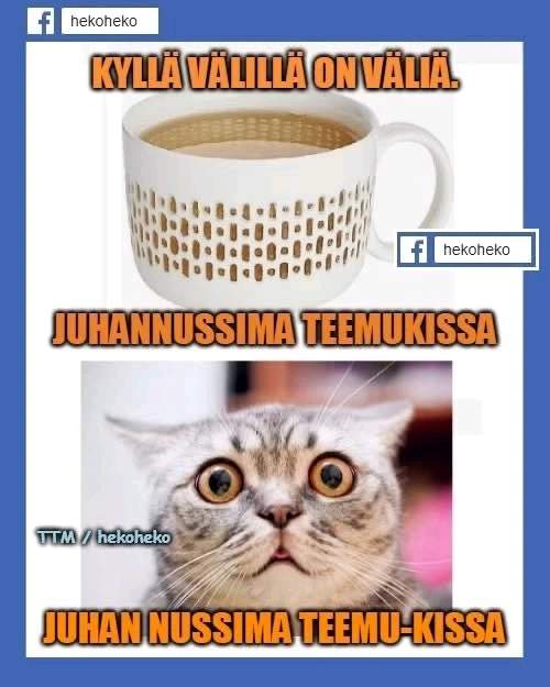 GIF-tiedoston lisäsi Sampsa