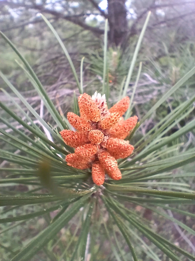 GIF ajouté par Rick