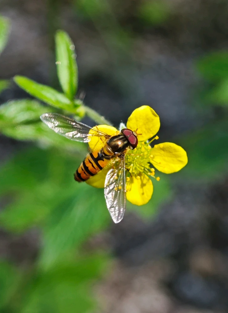 GIF hochgeladen von Jacky