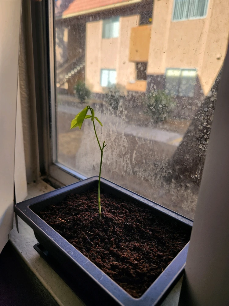 Image uploaded by Cj